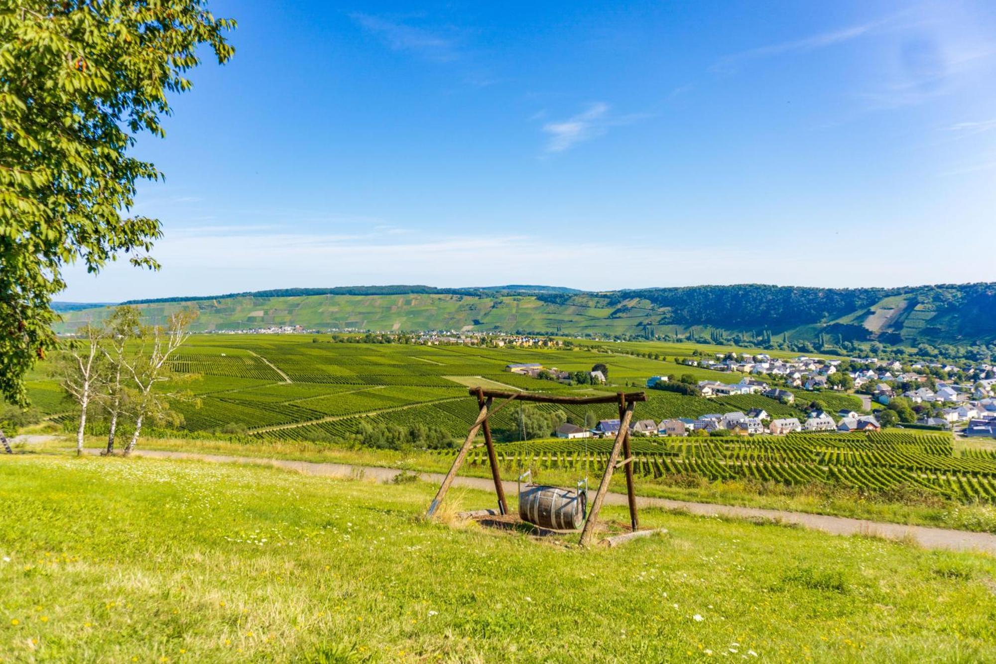 Ferienwohnung Leni Leiwen Exteriér fotografie